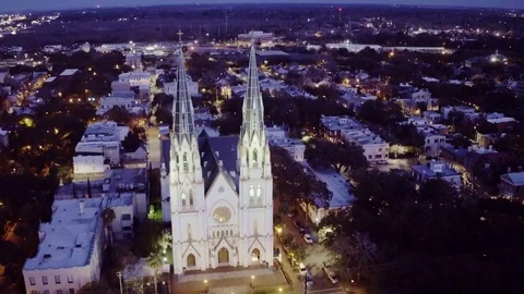 Night Savannah Cathedral Pull Back Stock Footage