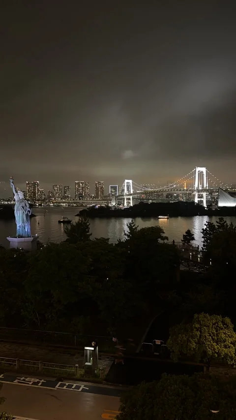 Night scene captures a statue in the foreground in Tokyo Stock Footage 314113675
