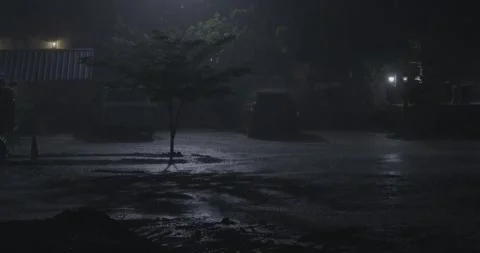 Night scene featuring rain glowing street lights and solitary tree in darkness Stock Footage 344826724
