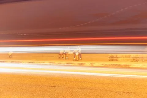 Night scene motion blur abstract abstract Stock Illustration