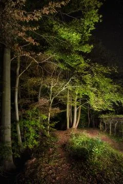 Night scene in a park Stock Photos