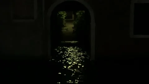 Night scene, reflection of light in the water of a canal in Venice Stock Footage 318454513
