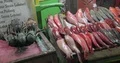 Night scenery seafood offer at fish-market in Indonesia 4k or 4k+ Resolution