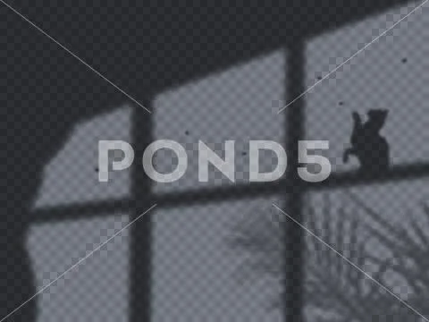 Night Shadow Overlay Pack PSD Template