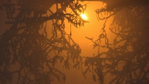 Night shot of branches covered with snow are swaying in the wind Stock Footage 101793732
