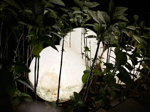 Night shot featuring three large, spherical, glowing white garden lights Stock Photos