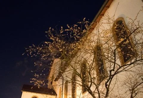 Night shot of a tree Stock Photos