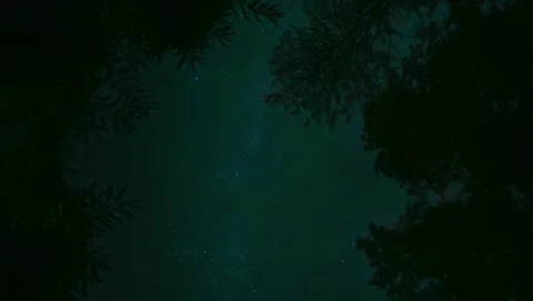 Night Sky 1 Stock Footage 314128689