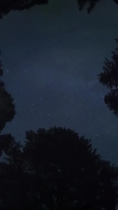 Night Sky 2 Stock Footage 314128686