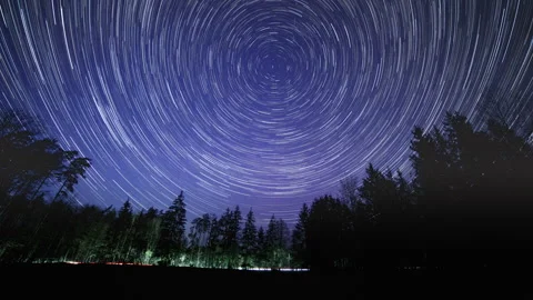Night sky 4k time lapse with star trails over forest. Abstract time lapse. Video stock 307869199