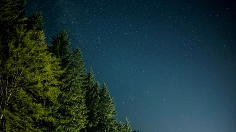 Night sky above forest Stock Footage 113341739