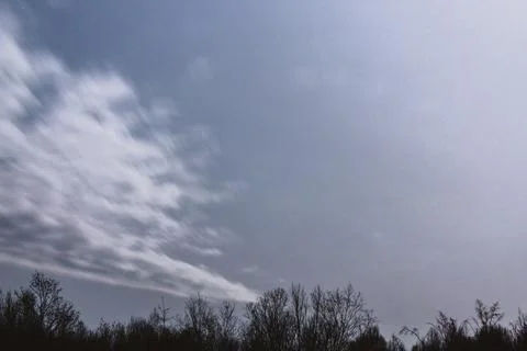Night sky and a large cloud in motion, trees in the background. Stock Photos