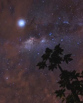 Night sky and silhouette Stock Photos