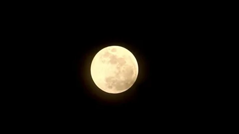 Night Sky Celestial Body, Full Moon in Dark Background Stock Footage 310217285