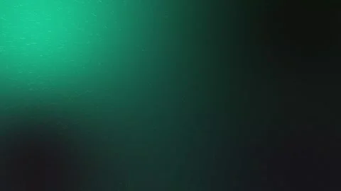 Night Sky Filled With Motion Vidéo 319368293