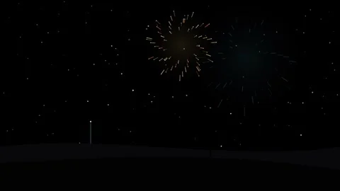 Night sky fireworks celebration exploding with vibrant colors against a dar.. Stockbeeldmateriaal 346989669