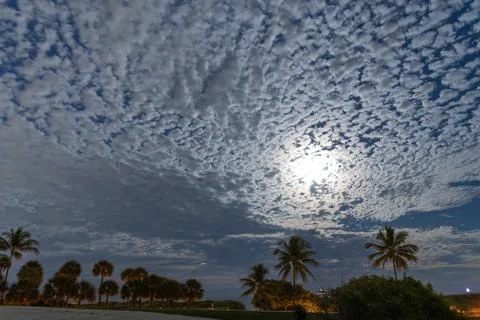 Night sky with full moon behind clouds over palm tree horizon. Tropical night Fotos Stock