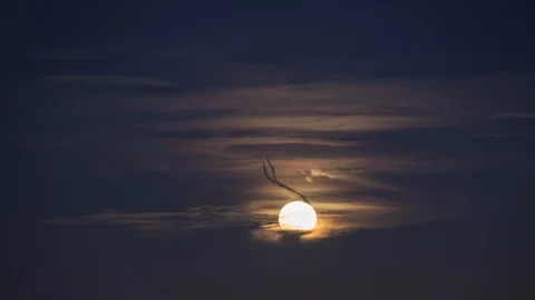 Night sky with full moon in the clouds, time lapse Stock Footage 105230164