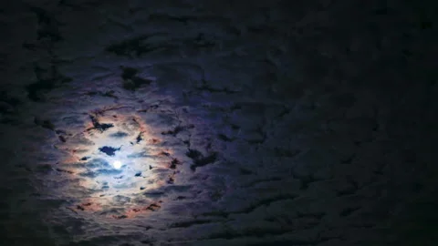 Night sky. Full moon. Stock Footage 105175274