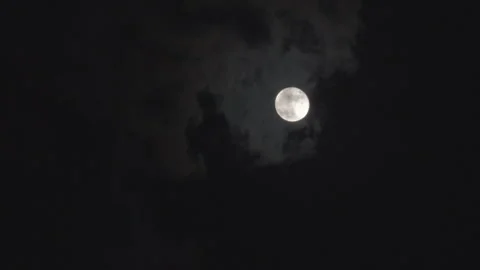 Night sky with full moon Stock Footage 288409141