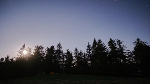 The night sky at the full moon, The moon shines through the trees at the edge of Stock Footage 276275451