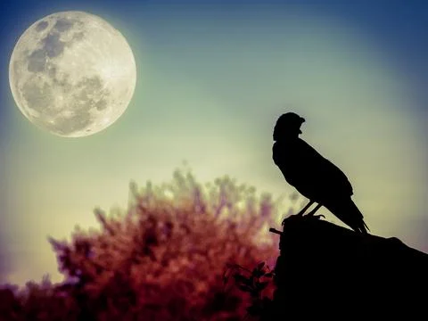 Night sky with full moon, tree and silhouette of crow Stock Photos