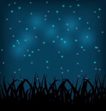 Night sky with grass field Illustrazione stock