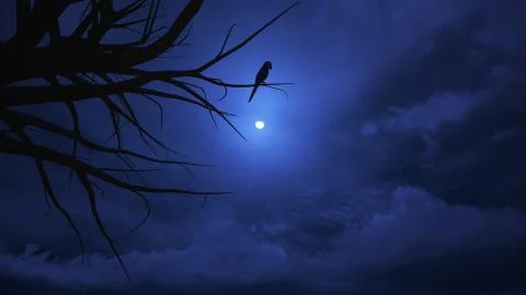 Night sky  on halloween. Stock Illustration