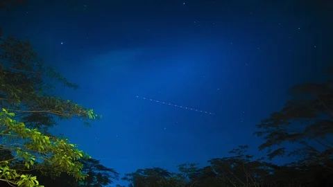 Night sky in Jungle Bali (4K Timelapse) | Stock Video | Pond5