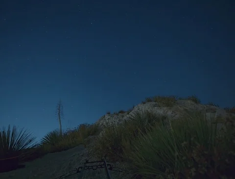 Night Sky in LA Forest 4K Stock Footage 80215101