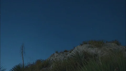Night Sky in LA Forest UHD Stock Footage 80214086
