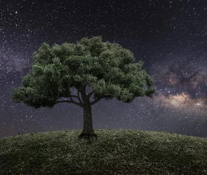 Night sky landscape Stock Photos