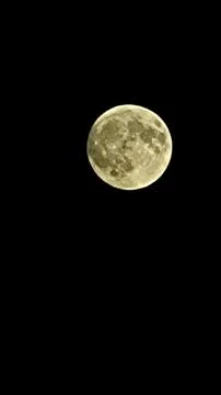 Night sky with a large full moon Stock Photos