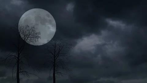 NIGHT SKY MOON Stock Footage 106054888