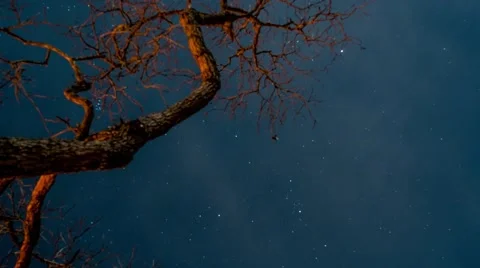 Night Sky on the Move Stock Footage 48411427