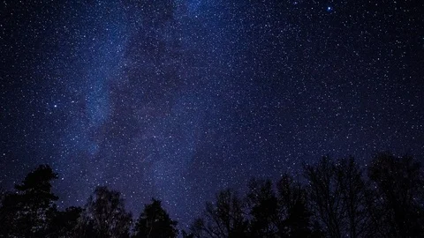 Night sky over forest 4k time lapse.  Stock Footage 99064515
