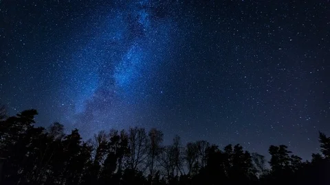 Night sky over forest 4k time lapse.  Stock Footage 99268737