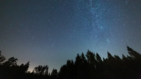 Night sky over forest - 4k timelapse. Stock Footage 160674906
