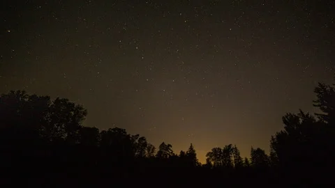 Night sky over forest in 4k time lapse. Stock Footage 244873951