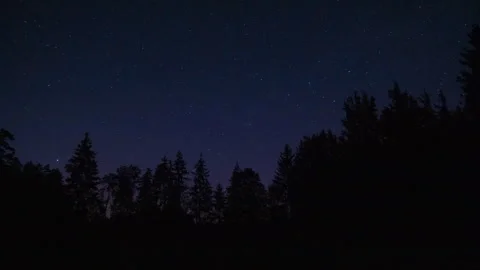 Night sky over forest. 4k time lapse with stars. Stock Footage 275612335