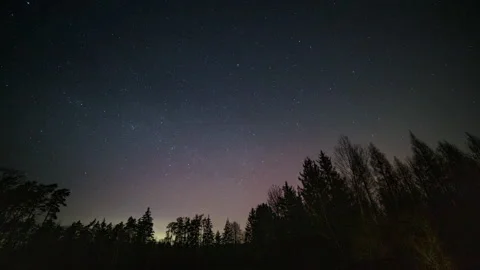 Night sky over forest with small aurora borealis. 4k time lapse. 스톡 동영상 307690511