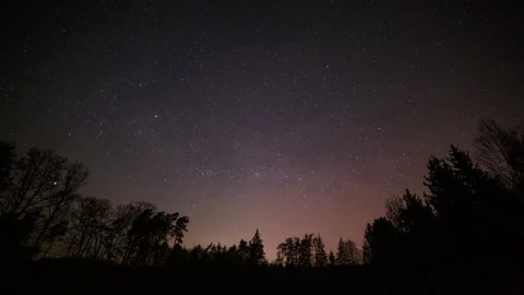 Night sky over forest with small aurora borealis. 4k time lapse. Stock Footage 307692037