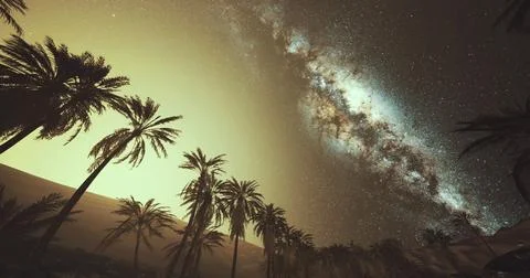 Night sky over palm trees showcasing the Milky Way in a desert setting Ilustração Stock