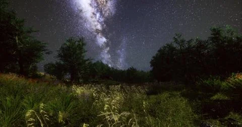 Night sky over a serene landscape with stars and a galaxy view Ilustração Stock
