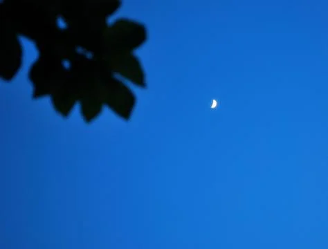 Night sky Stock Photos