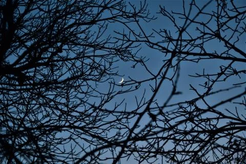 Night sky Stock Photos