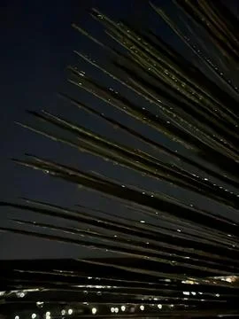 Night sky with sharp leaves Stock Photos