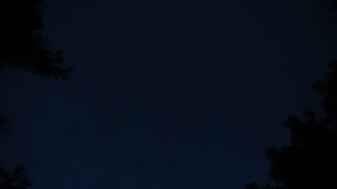 Night Sky with Silhouetted Trees and a Single Star Stockbeeldmateriaal 348528024