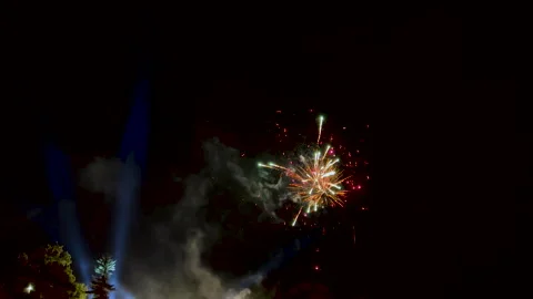 Night Sky Spectacle: Captivating Festive Fireworks Illuminate the Darkness Stock Footage 255329617