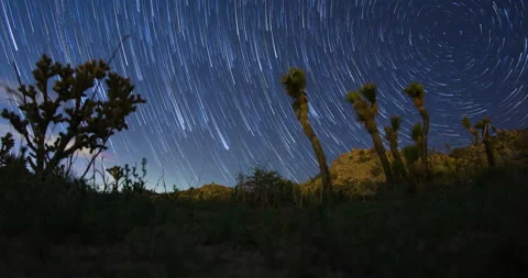 Night Sky Star Trails Desert Panorama Timelapse 4K Stock Footage 172570970